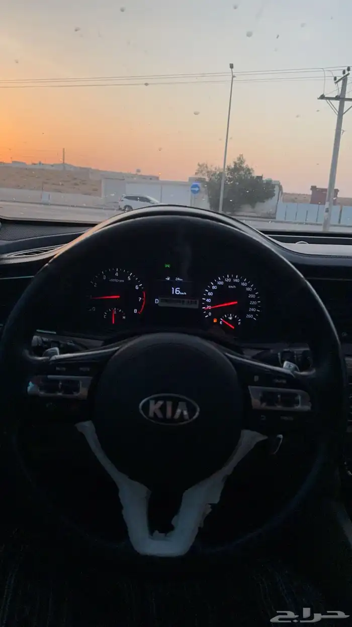 كادينزا 2018 5