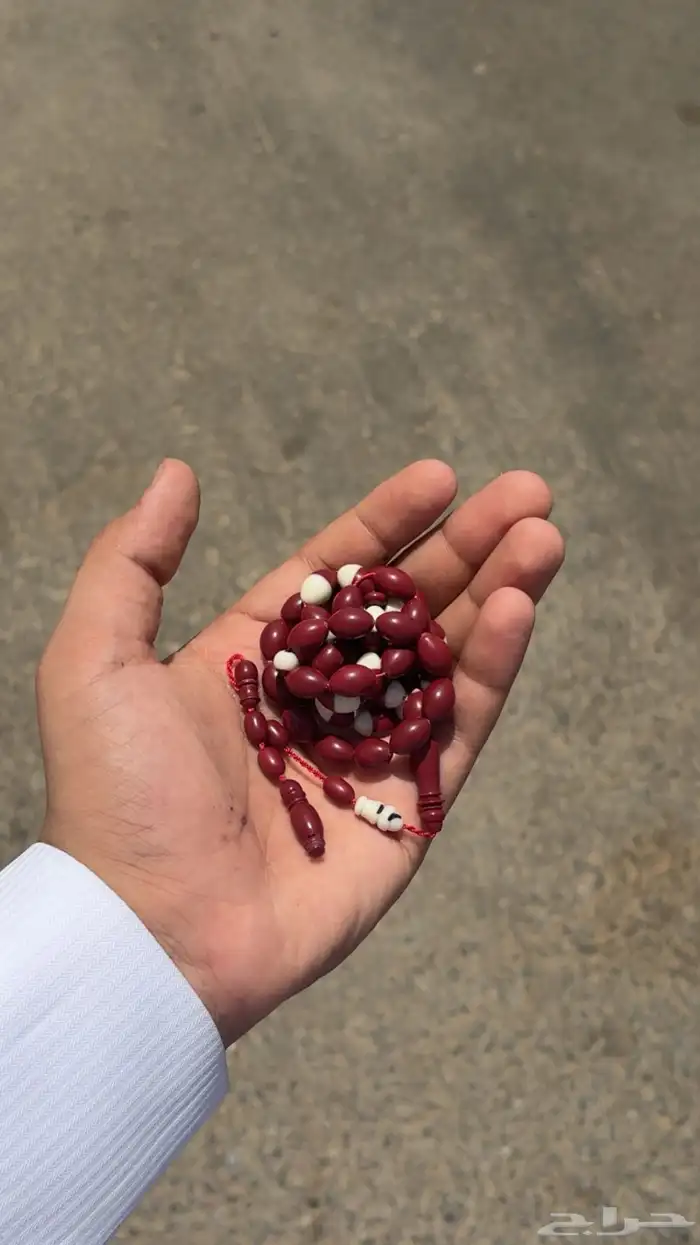 سبحه بلياردو لون عنابي 5