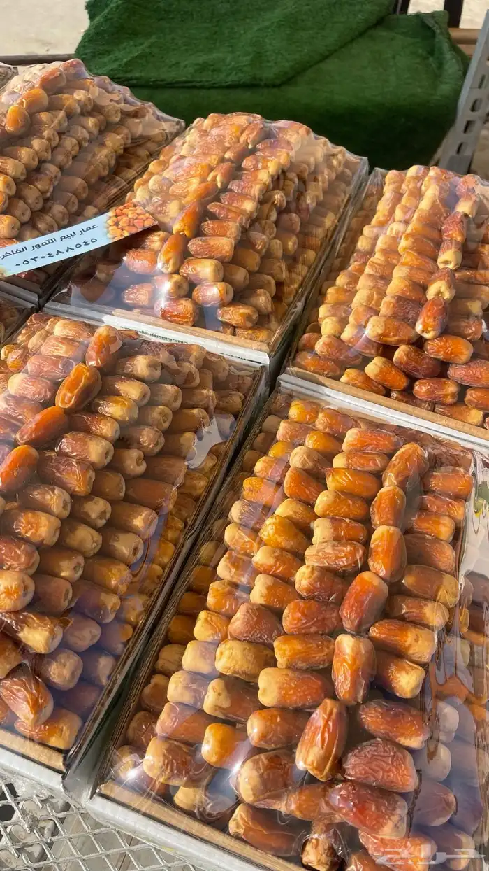 صقعي فاخر 0