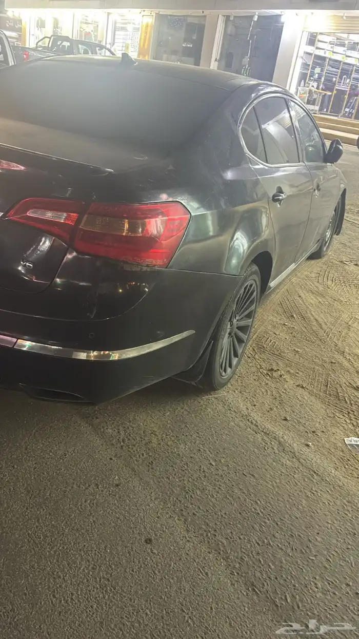 القنفذة 0