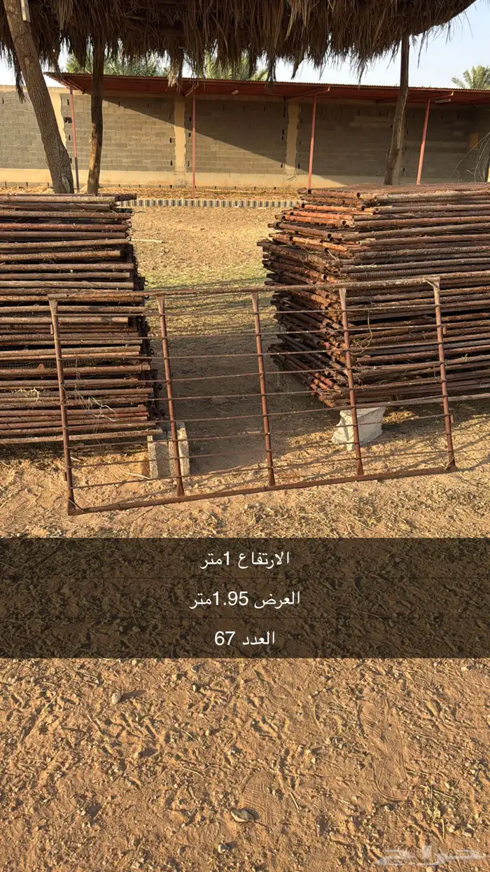 حصنية شبوك غنم معالف 0