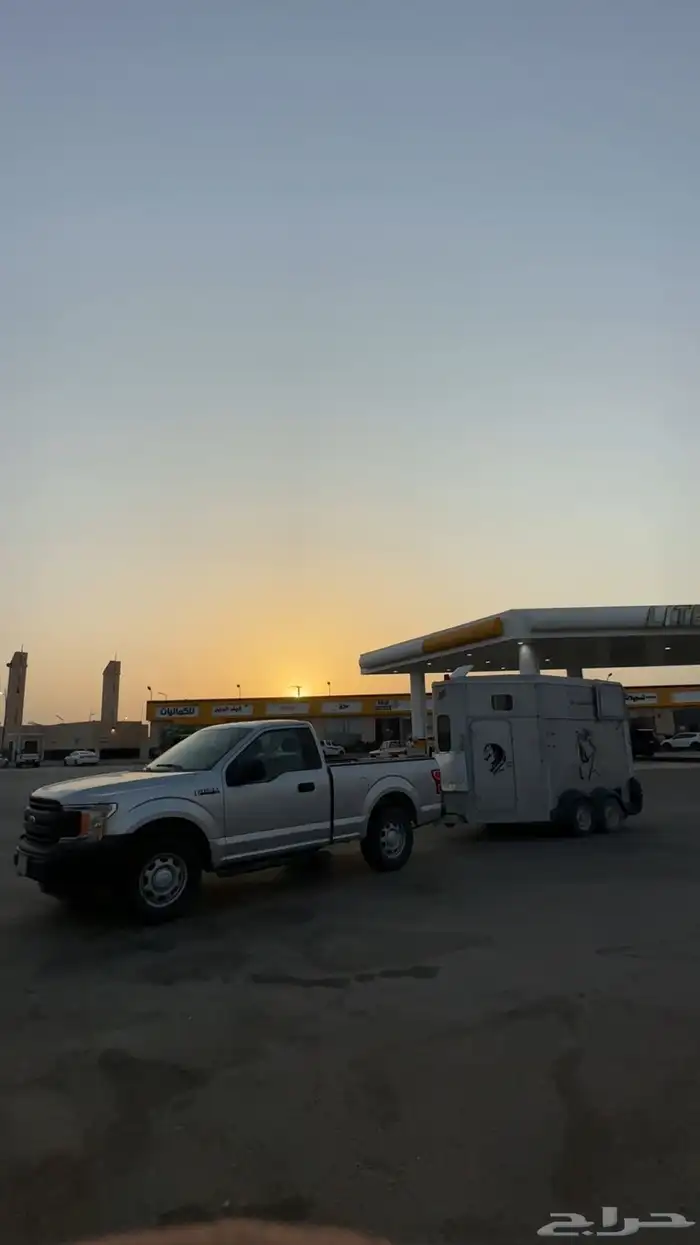 عربه لنقل الخيل 1