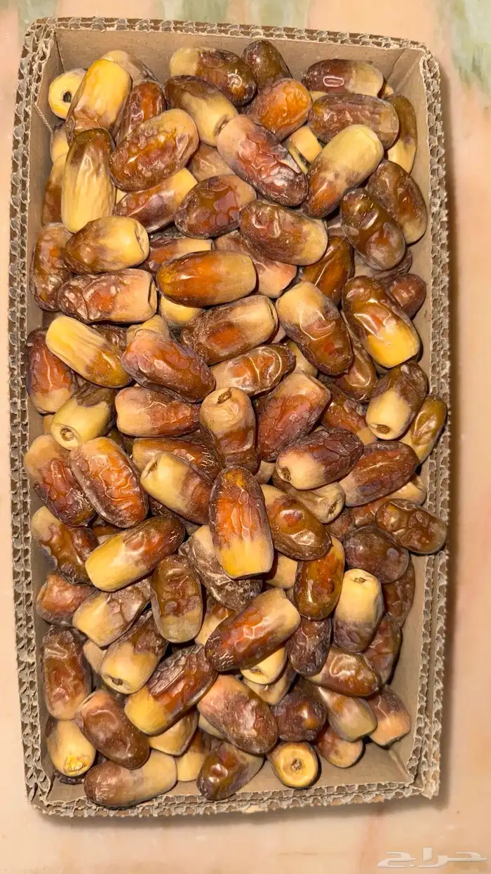 تمر نجران 0
