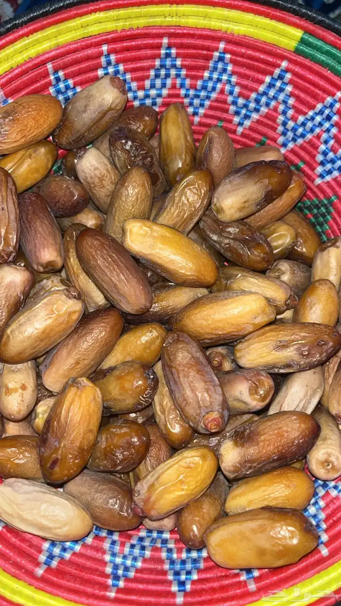 تمر مواكل نجران 2