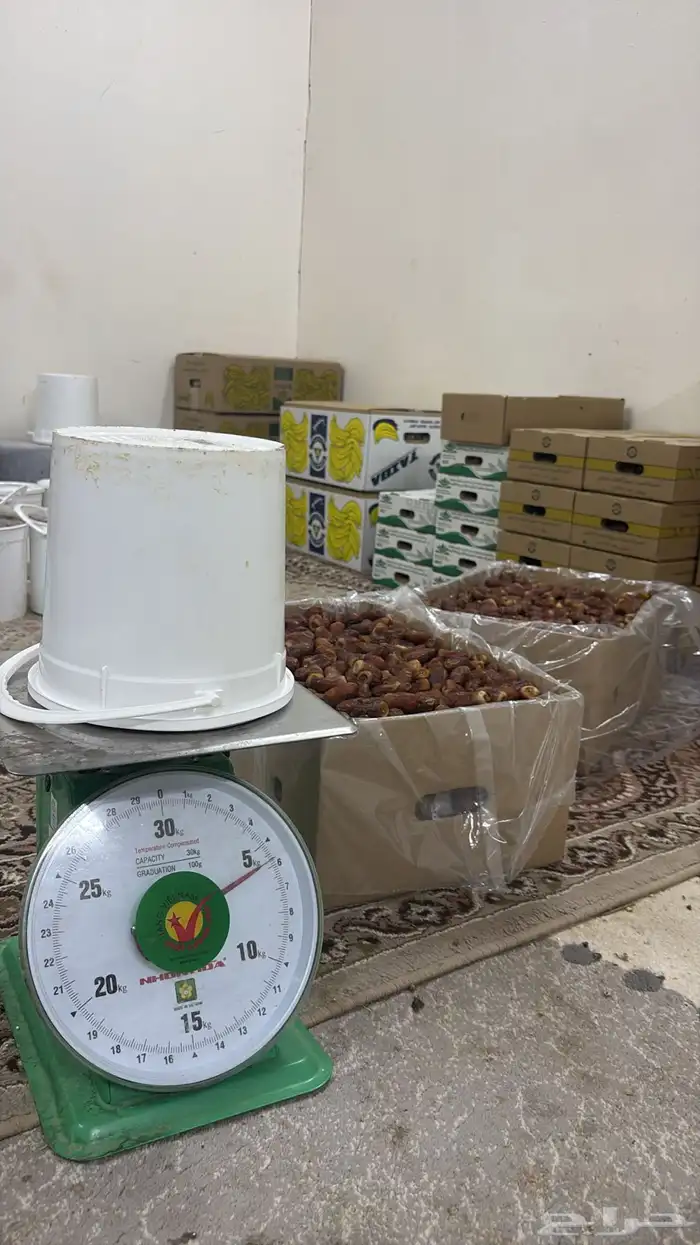 برني كرتين وسطول 4