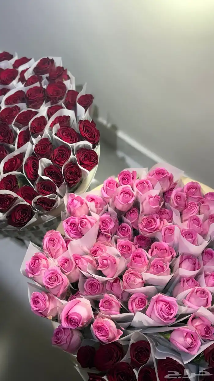 توزيعات ورد للمناسبات   ورد طبيعي بالجمله 0