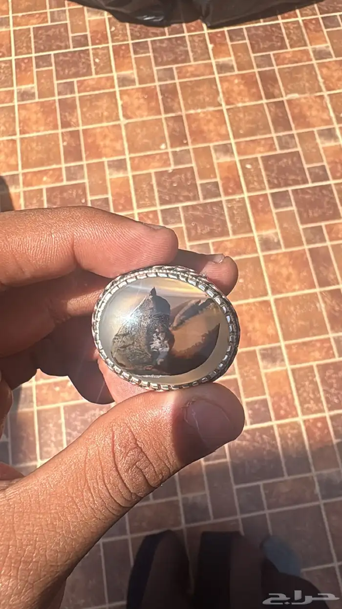 خاتم عقيق يماني مشجر مصور طير صريح شجري 3