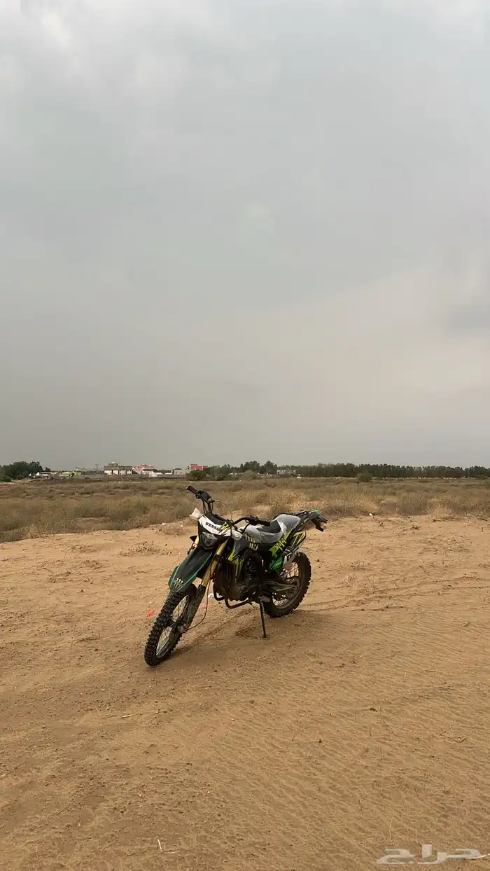 دباب صحراوي 250cc وسام ناري 3
