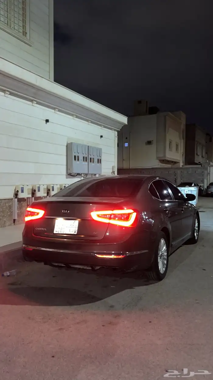 كادينزا 2015 1
