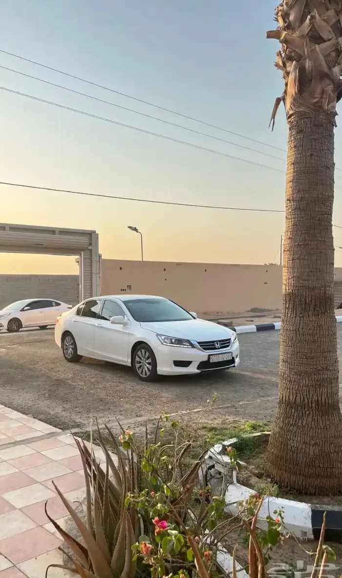 اكورد 2014 الحد 31 الف 2