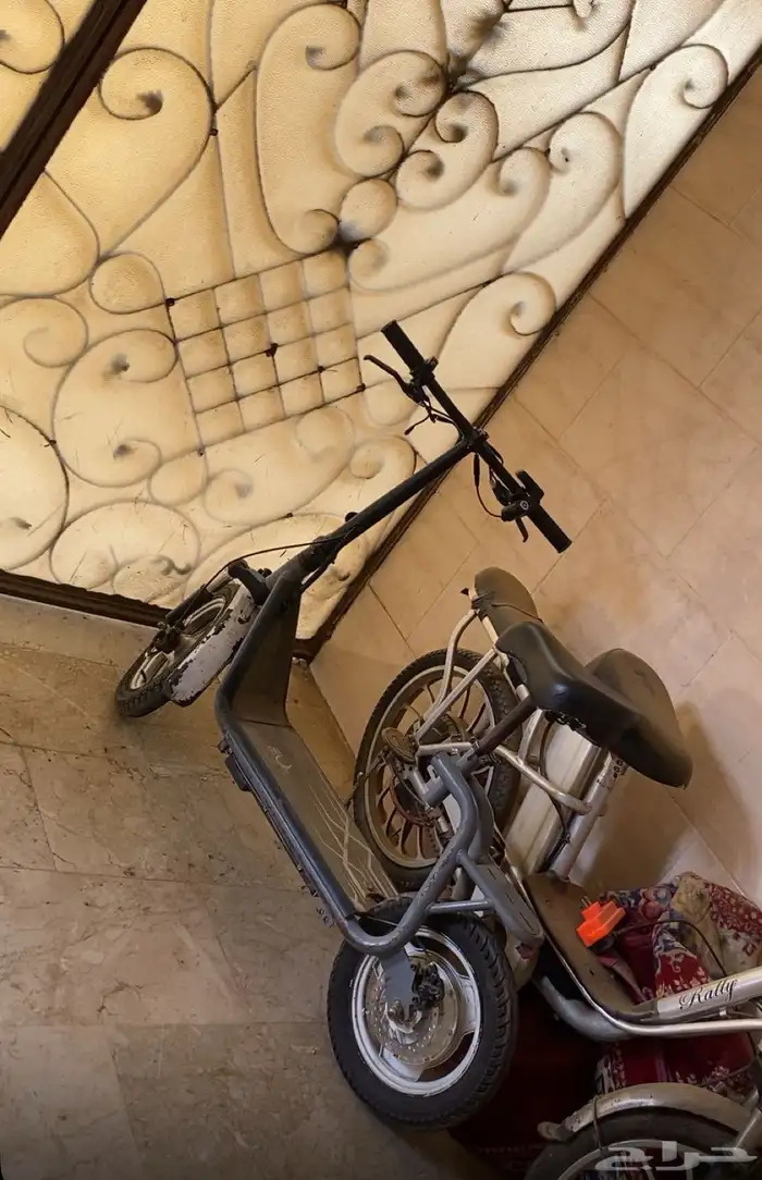 سكوتر جديد المقاس الكبير مقاس 14   600 2
