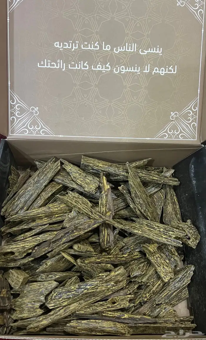 عود ازرق للمناسبات 0
