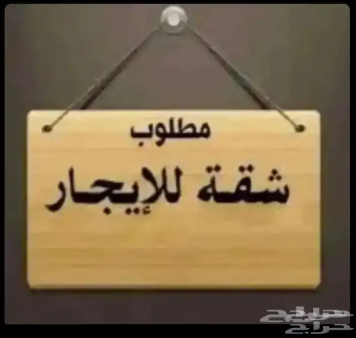 مطلوب استراحة او شقه عزاب من 1000 وتحت 0