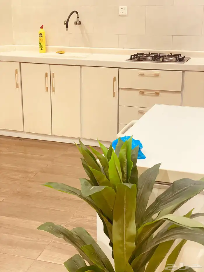 أستراحة دانيال للايجار اقسمين مسبح كبير ومسبح ملعب طائره 24