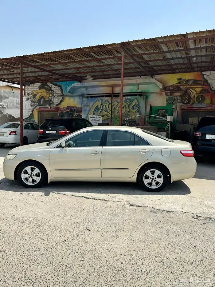 القطيف 6