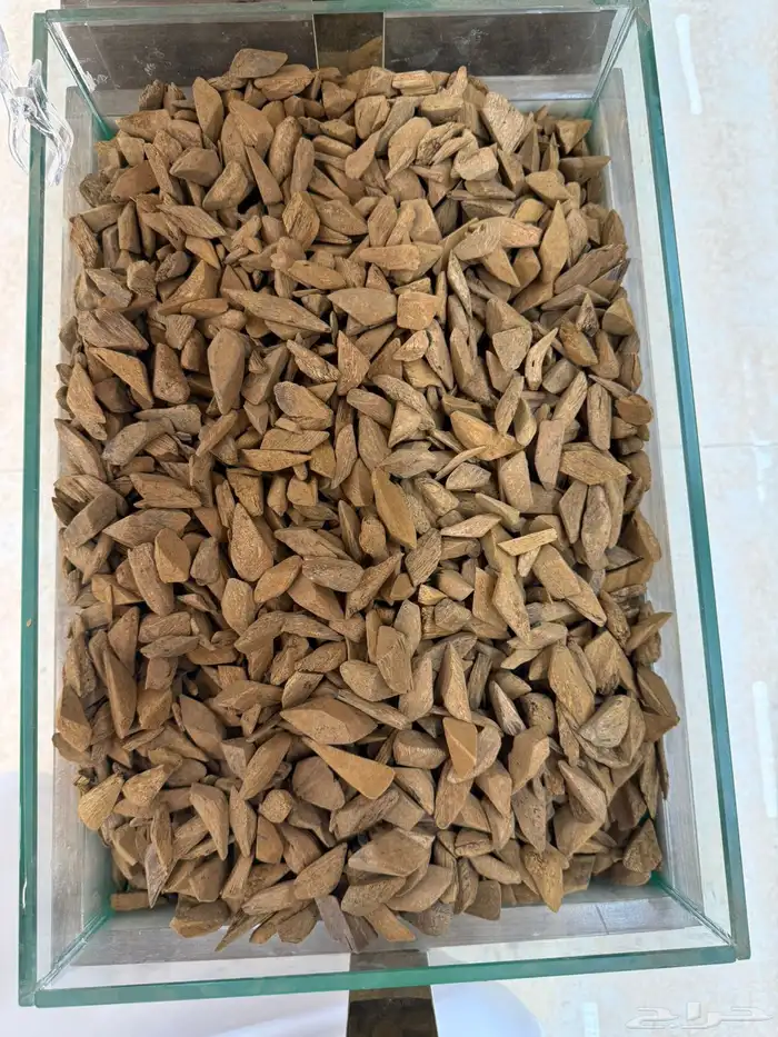 عود مروكي زين (جملة) يوجد خصم للكميات 0