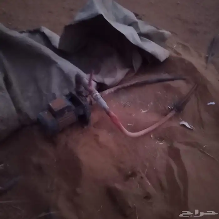 البيع المحل في السليم ب جميع اغراضه 34