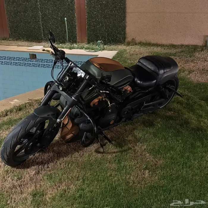 هارلي ديفدسون في رود   harley davidson v rod 4
