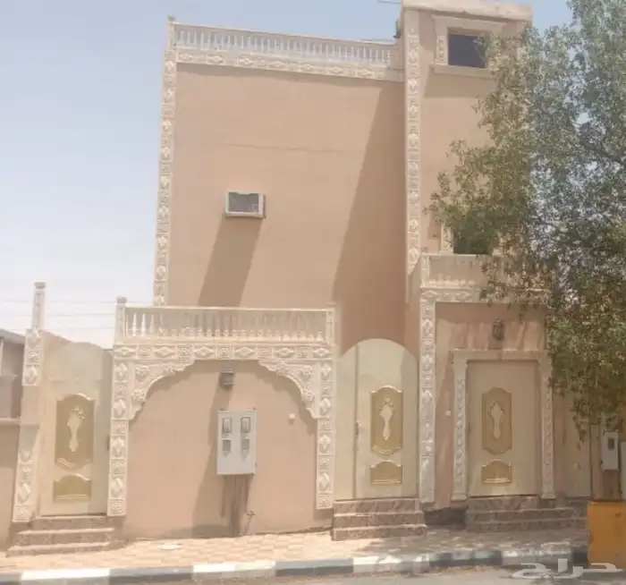 شقة ارضية في الشعبة عوائل للايجار ( شعبة نصاب ) 0