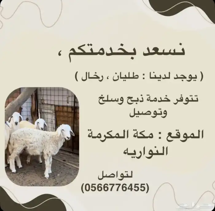 ذبايح حريه وسواكن تربيه ذبح وتوصيل 0