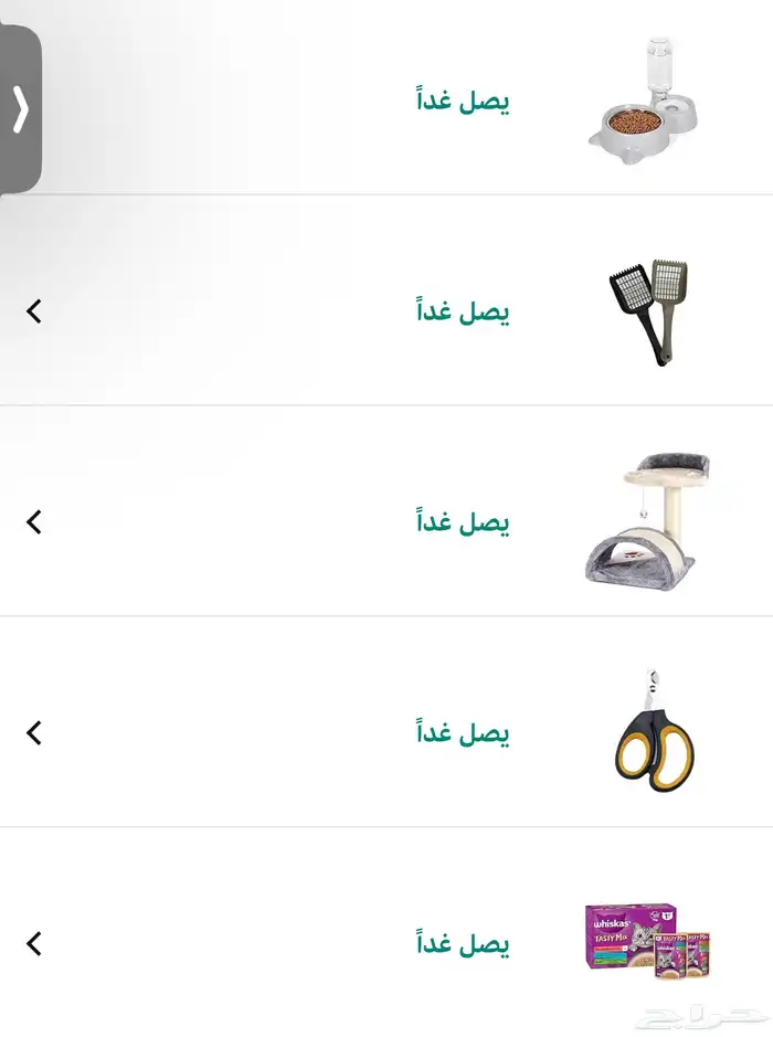 قط للبيع 1