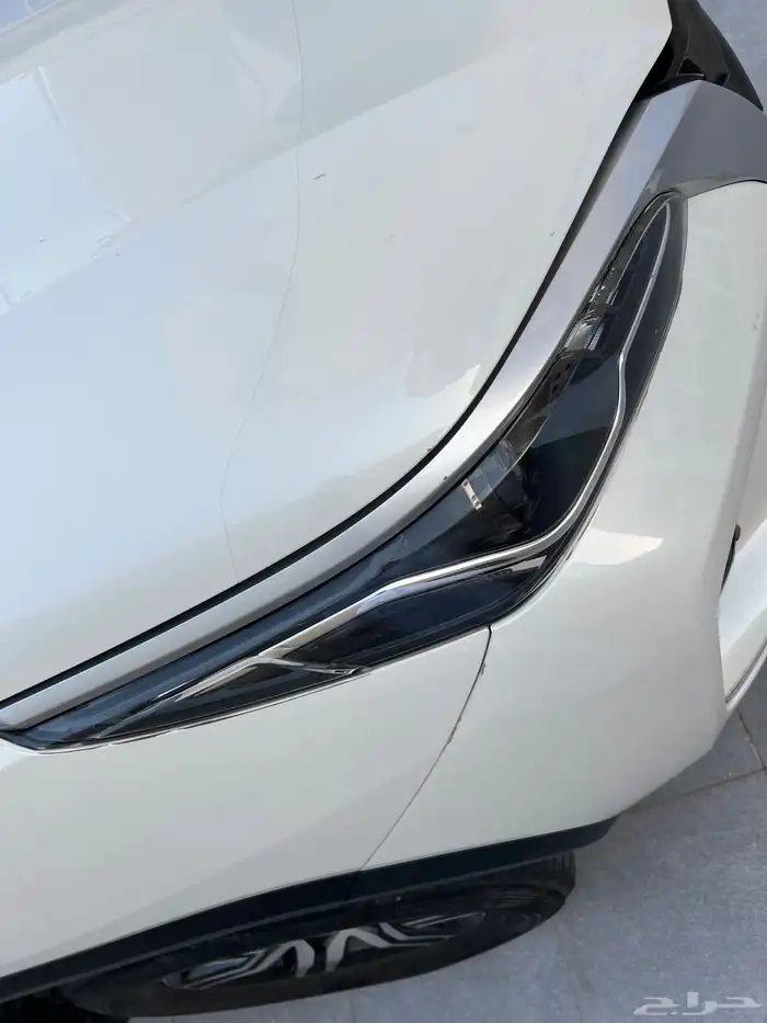 فورشنر سعودي 15
