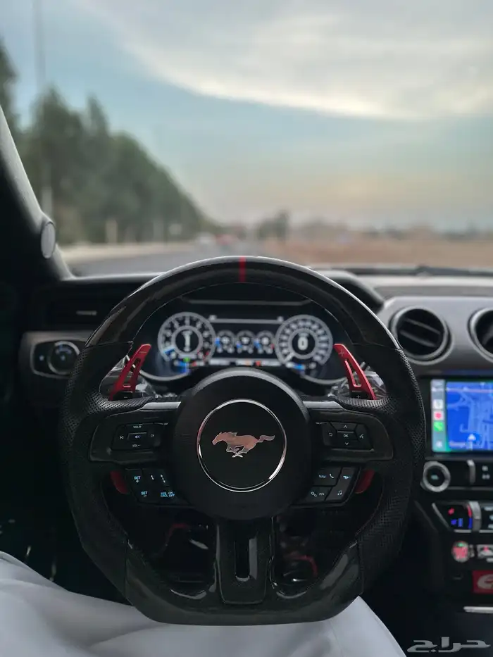 موستنج GT نسخة 55 عام 22