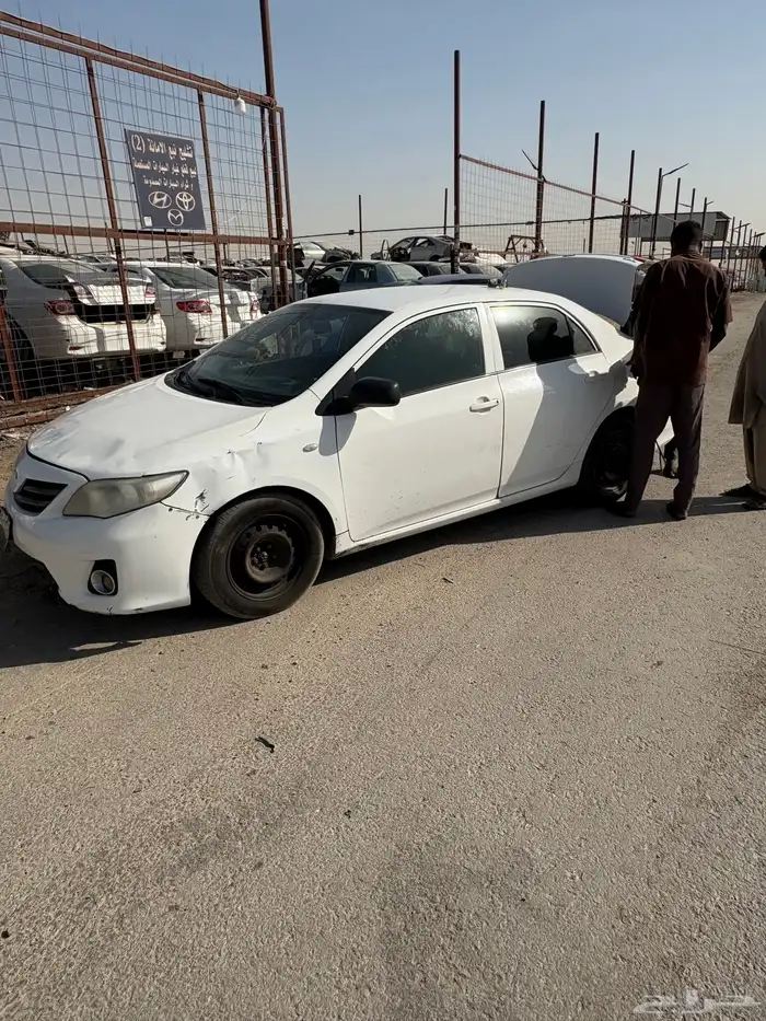 كورلا 2013 2