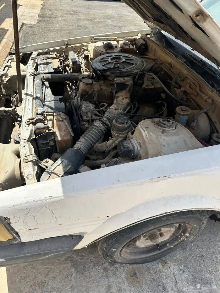 كرسيدا للبيع مديل 88 3