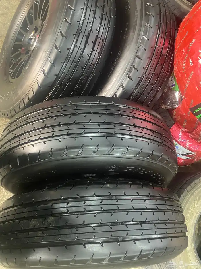 جنوط برايد   كفرات شاهين 12
