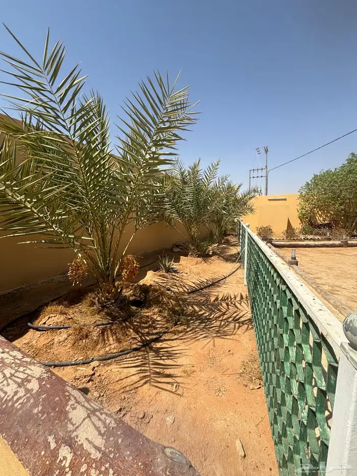 استراحة   ارض بصك واحد للبيع في ضرما 11