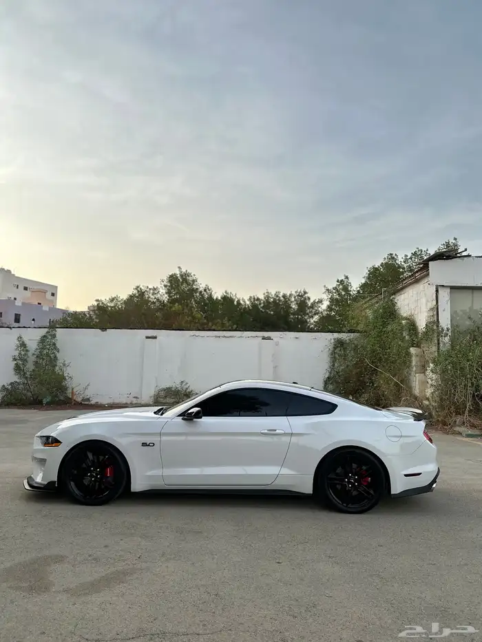 موستنج GT نسخة 55 عام 3