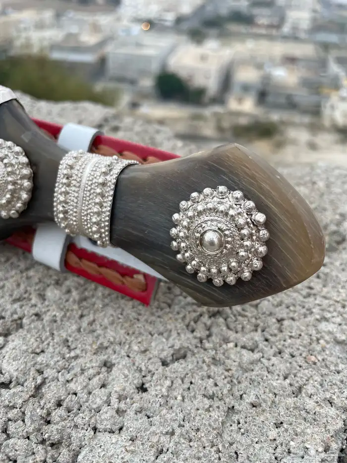 جنبيه جنوبيه فضه الراس قرن 10
