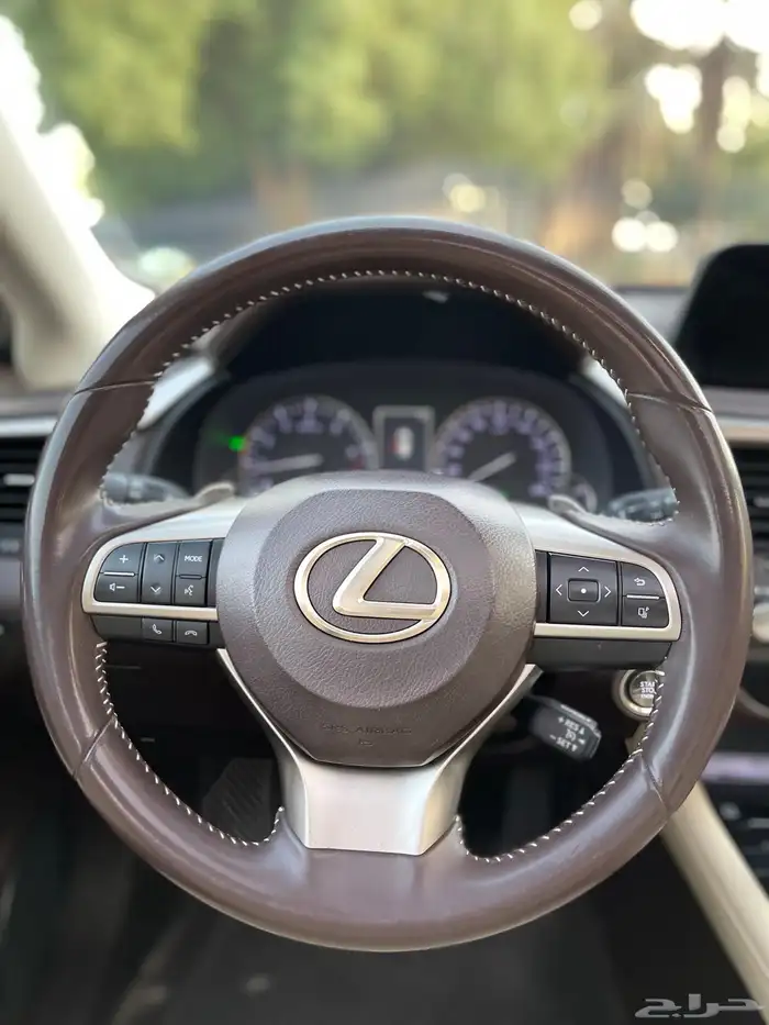 لكزس RX2020 ممشى (61) الف بودي بلد 17