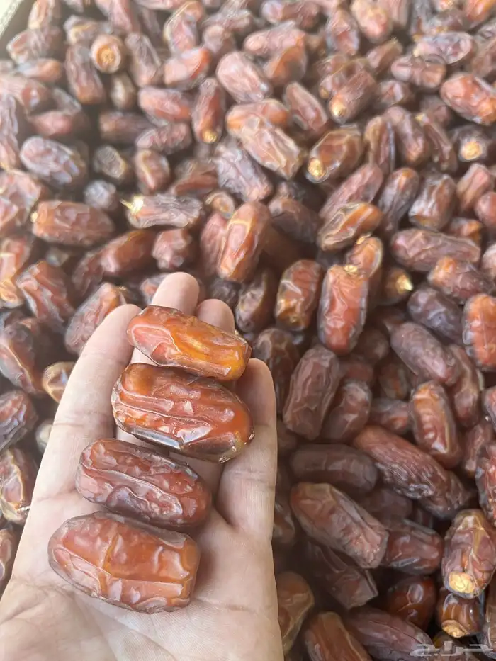 تمر صفري مبروم 0