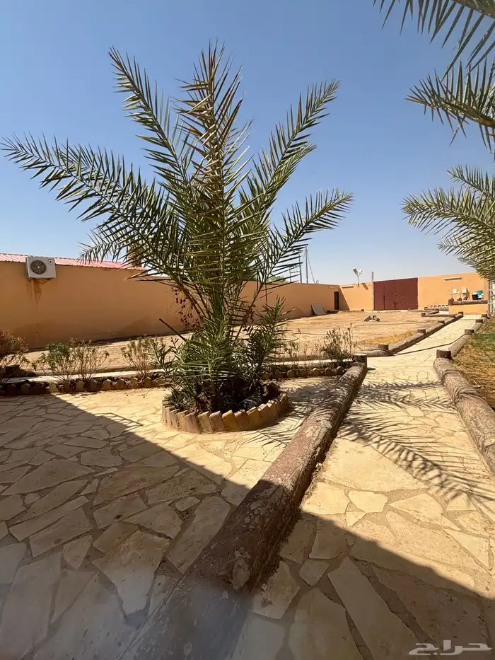 استراحة   ارض بصك واحد للبيع في ضرما 22