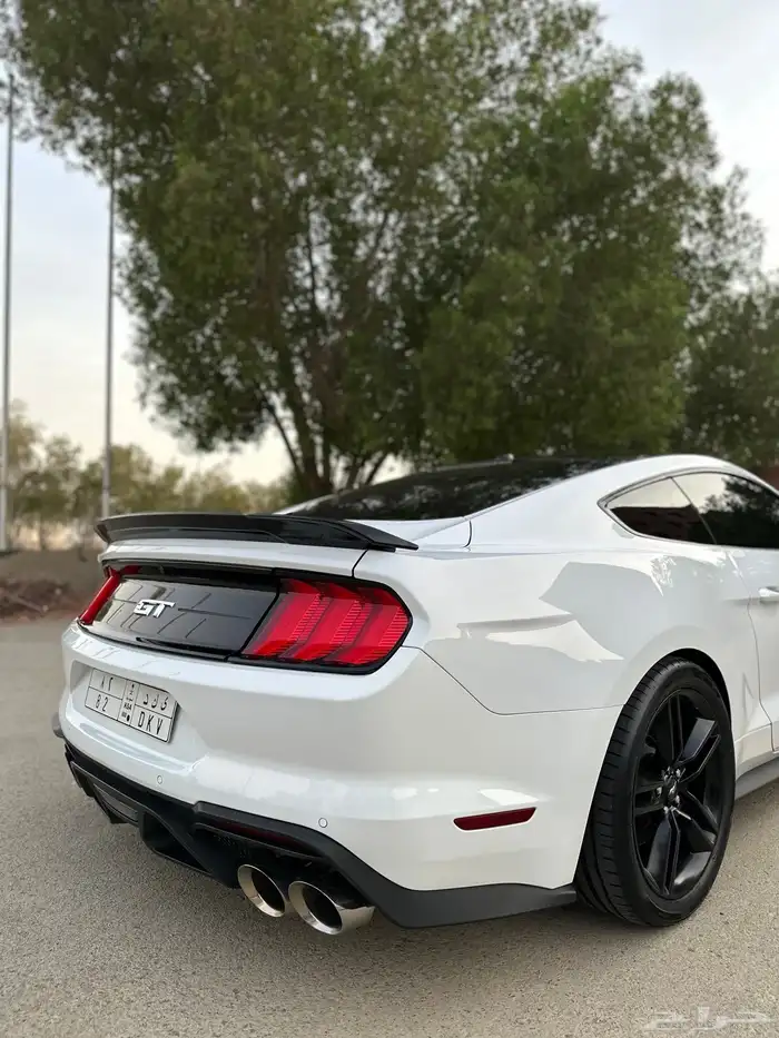 موستنج GT نسخة 55 عام 5