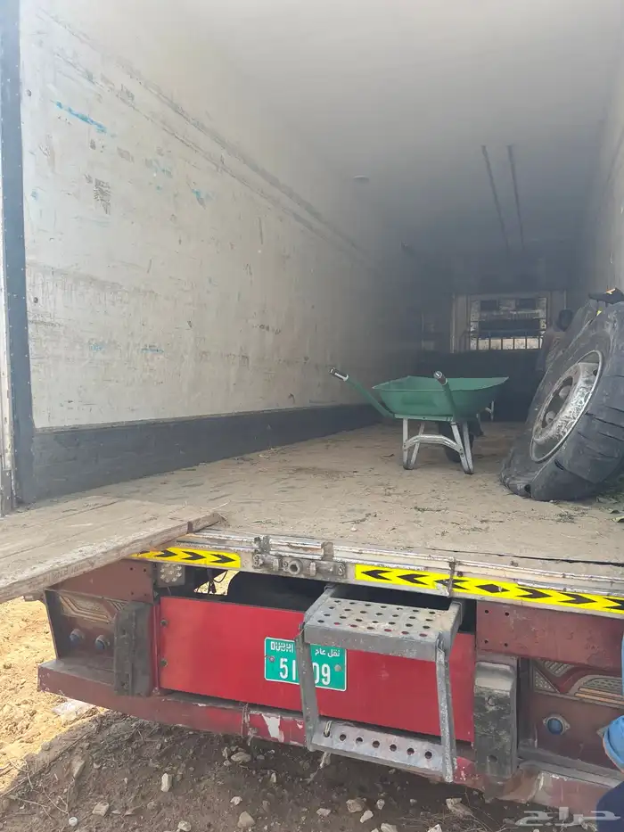 توريد جميع شتلات الظل والزينة نيم لبخ اكاسيا بونسيانا 1