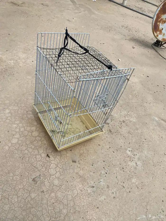 شبك البيع موقع ريحه يصلح كاسكو كنيور البيع مالى حد 0