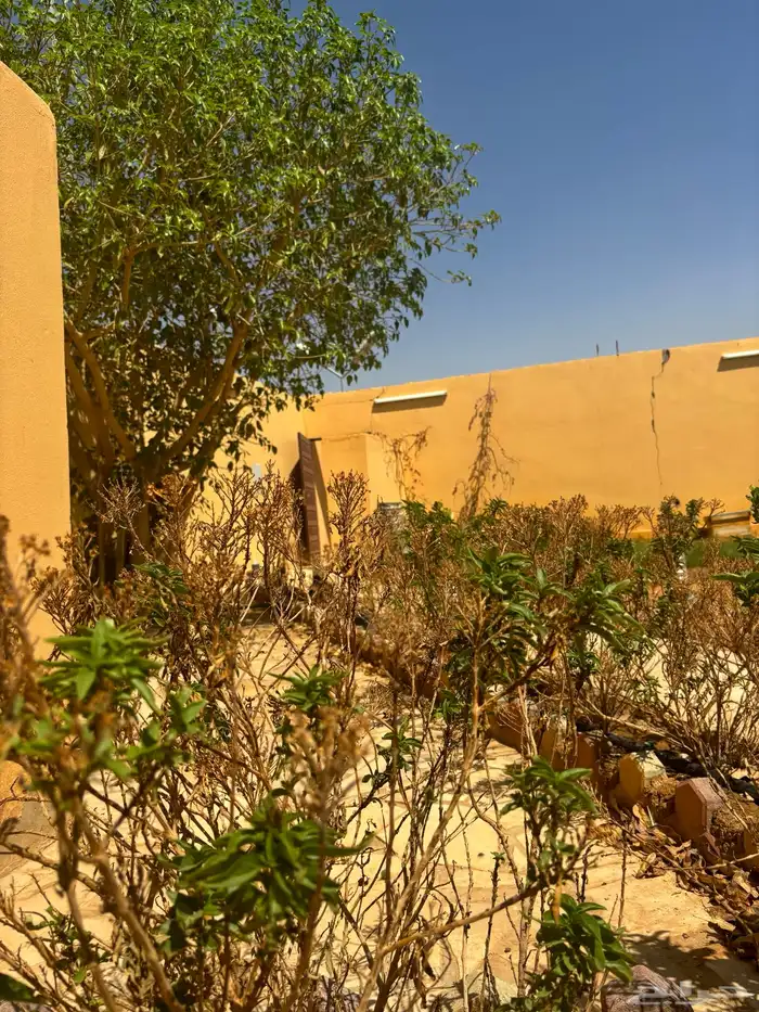 استراحة   ارض بصك واحد للبيع في ضرما 13