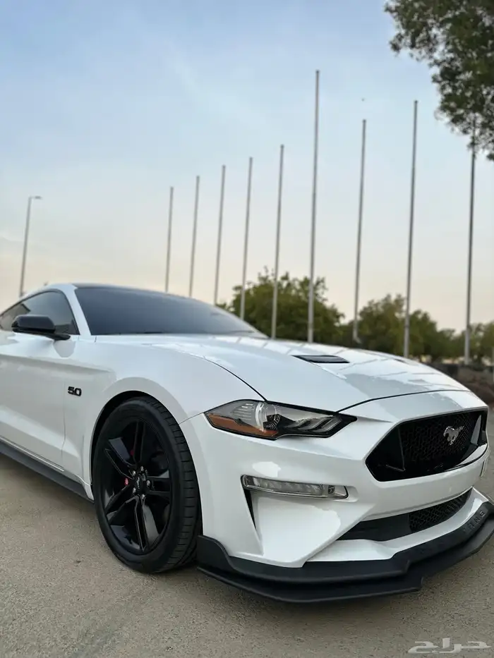 موستنج GT نسخة 55 عام 4