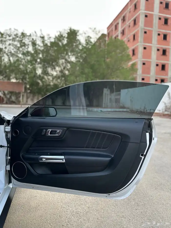 موستنج GT نسخة 55 عام 10