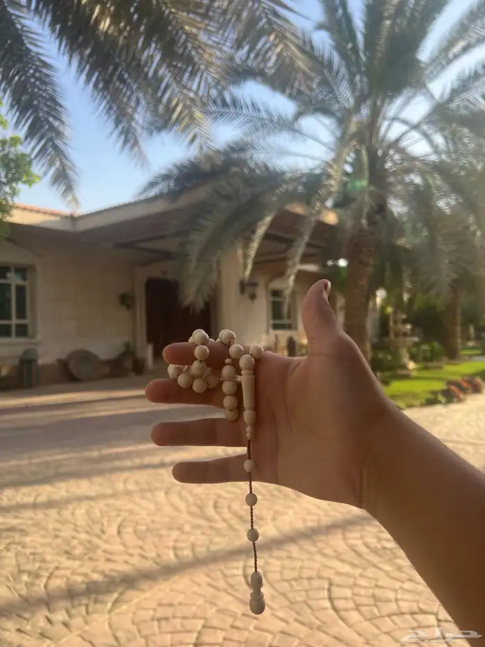 سبحة عاج 3