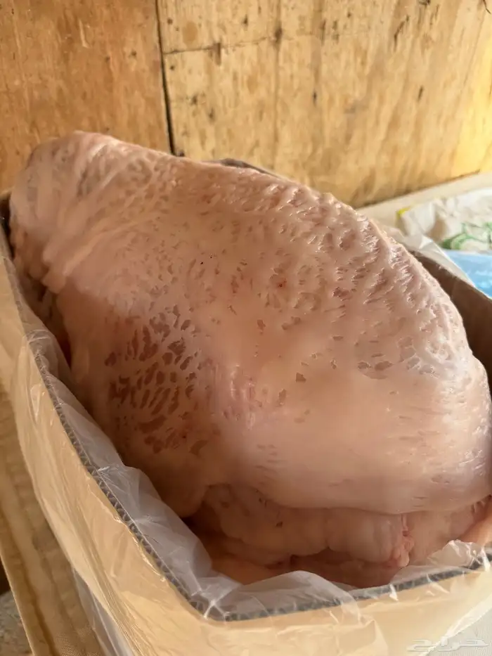 ذبايح نعيم 5