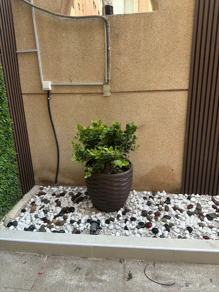 تنسيق الحدائق 27