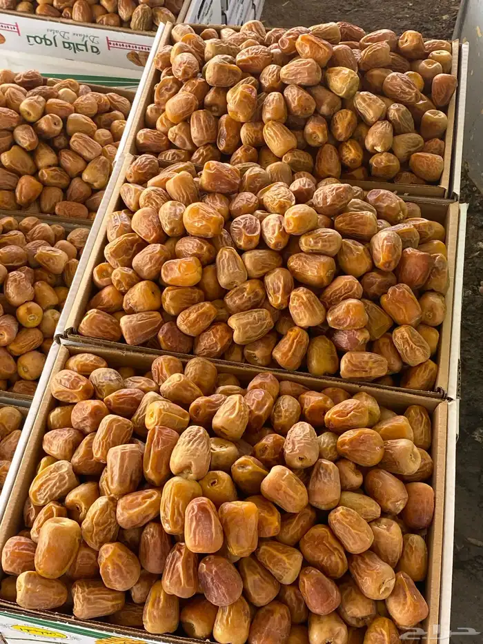 تمر سكري مفتل درجه اولى 8