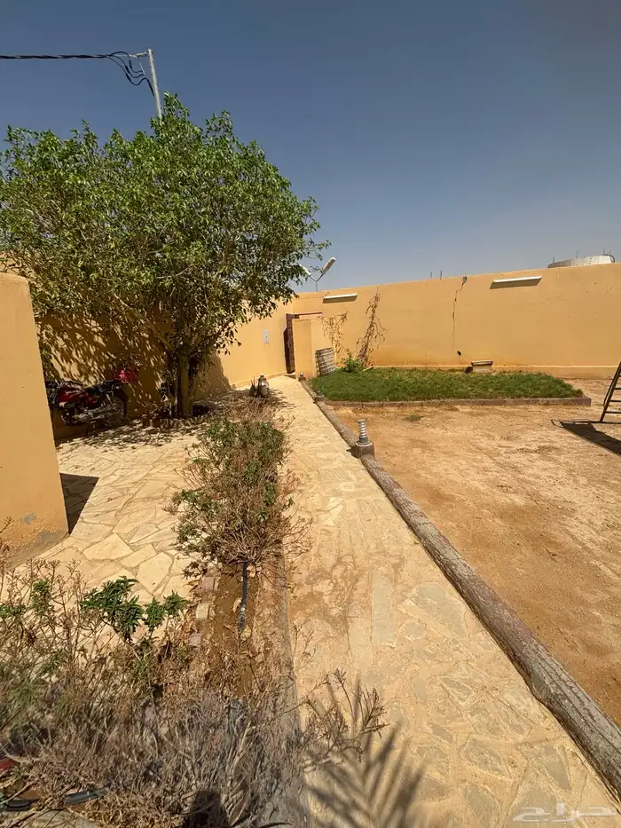 استراحة   ارض بصك واحد للبيع في ضرما 15