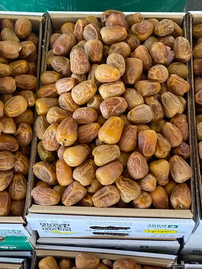 تمر سكري مفتل درجه اولى 5