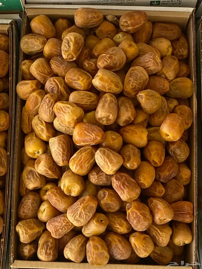 تمر سكري مفتل درجه اولى 2