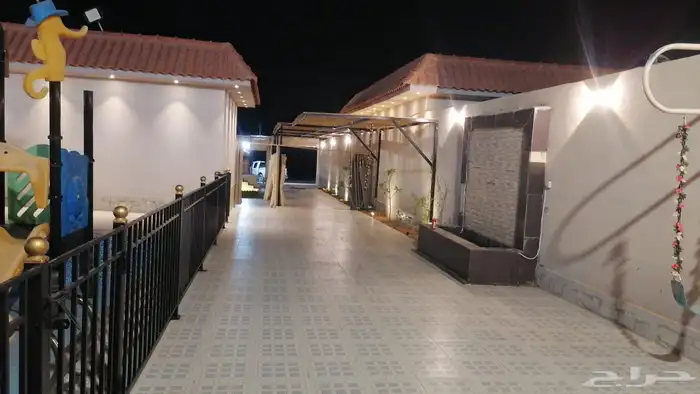 عروضنا لليوم الوطني 295 فقط 2